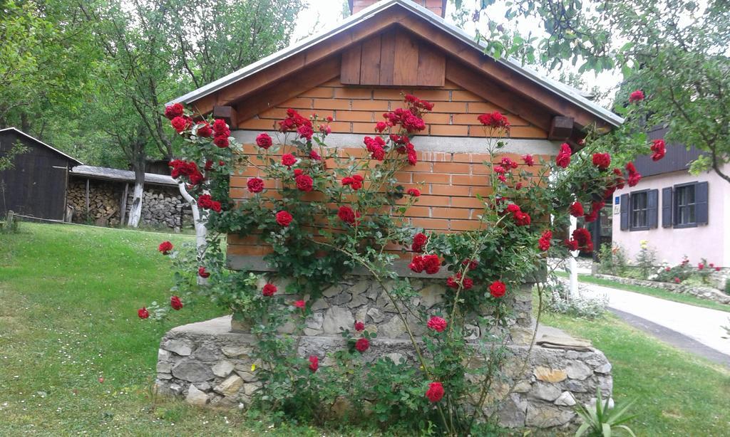 Guesthouse Andrea โพลยานัค ภายนอก รูปภาพ